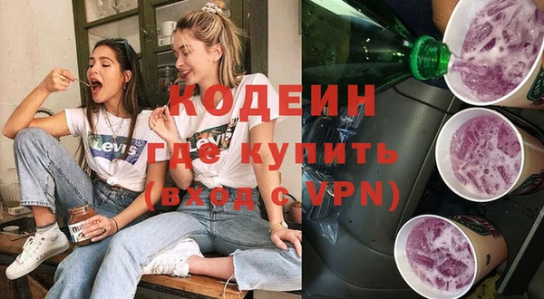индика Богородицк