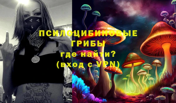 mdpv Бронницы