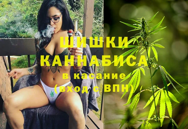 МДПВ Верхний Тагил
