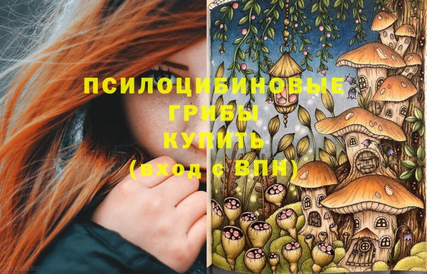 МДПВ Верхний Тагил