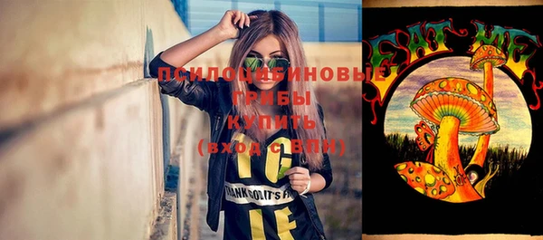 МДПВ Верхний Тагил